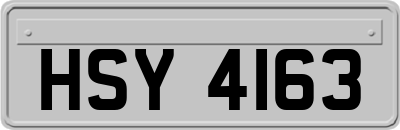 HSY4163