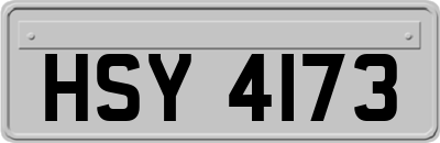 HSY4173