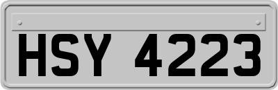 HSY4223
