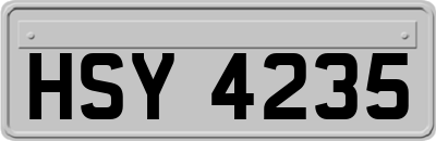HSY4235