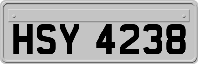 HSY4238