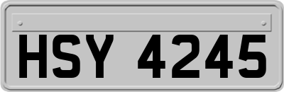 HSY4245