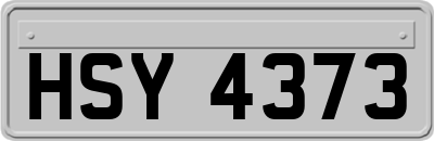 HSY4373
