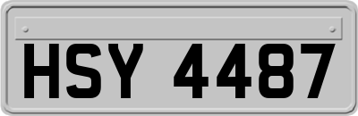 HSY4487