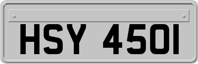 HSY4501