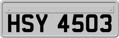 HSY4503
