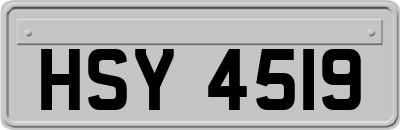 HSY4519