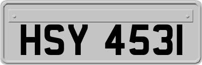 HSY4531