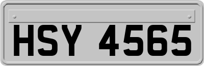 HSY4565