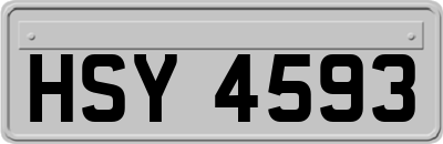 HSY4593
