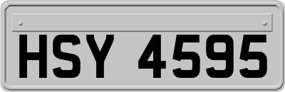 HSY4595