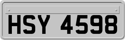 HSY4598