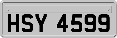 HSY4599