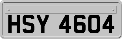 HSY4604