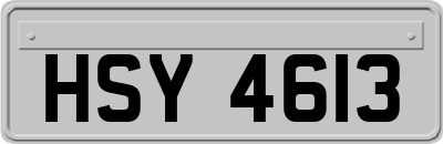 HSY4613