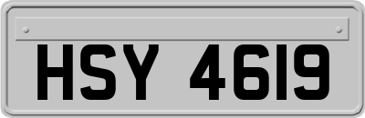 HSY4619