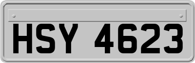 HSY4623