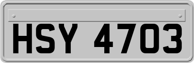 HSY4703