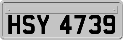 HSY4739