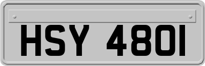 HSY4801