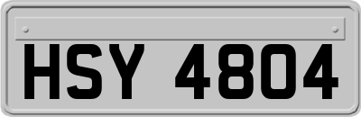 HSY4804