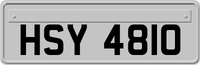HSY4810