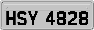 HSY4828