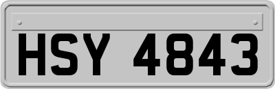 HSY4843