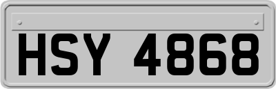 HSY4868