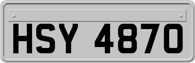HSY4870