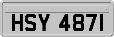 HSY4871
