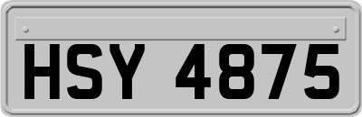 HSY4875