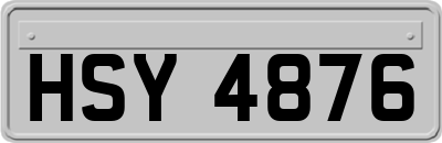 HSY4876