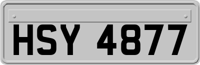 HSY4877