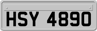 HSY4890