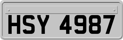 HSY4987