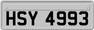 HSY4993