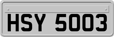 HSY5003