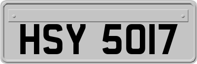 HSY5017