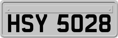 HSY5028