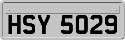 HSY5029