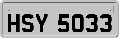 HSY5033