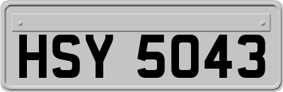HSY5043