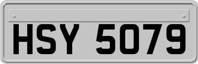 HSY5079