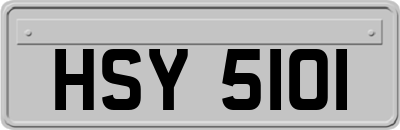 HSY5101