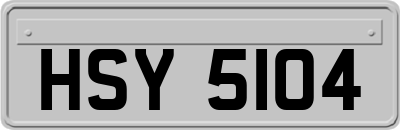HSY5104