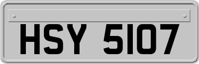 HSY5107