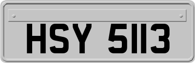 HSY5113