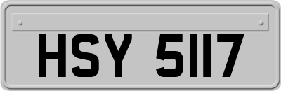 HSY5117