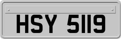 HSY5119